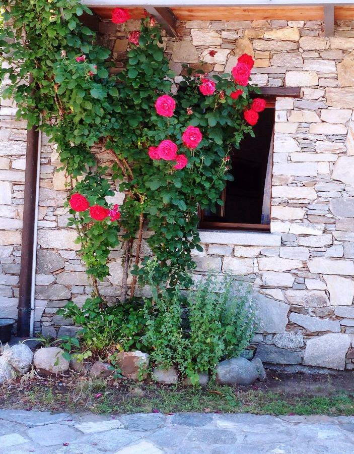 Casa Cicala Villa Trarego Exterior foto